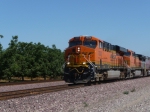 BNSF 7233 East